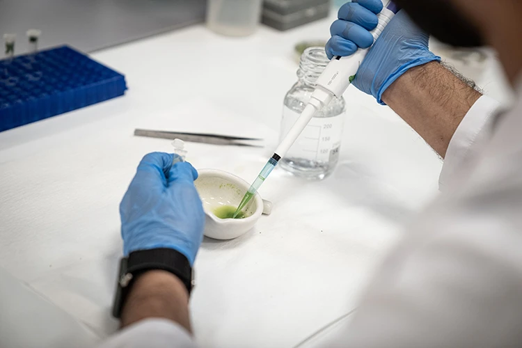 producing a drought-resistant solutio