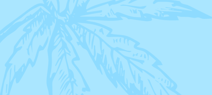 Sponsor 2026 CSP Cannabis Forum