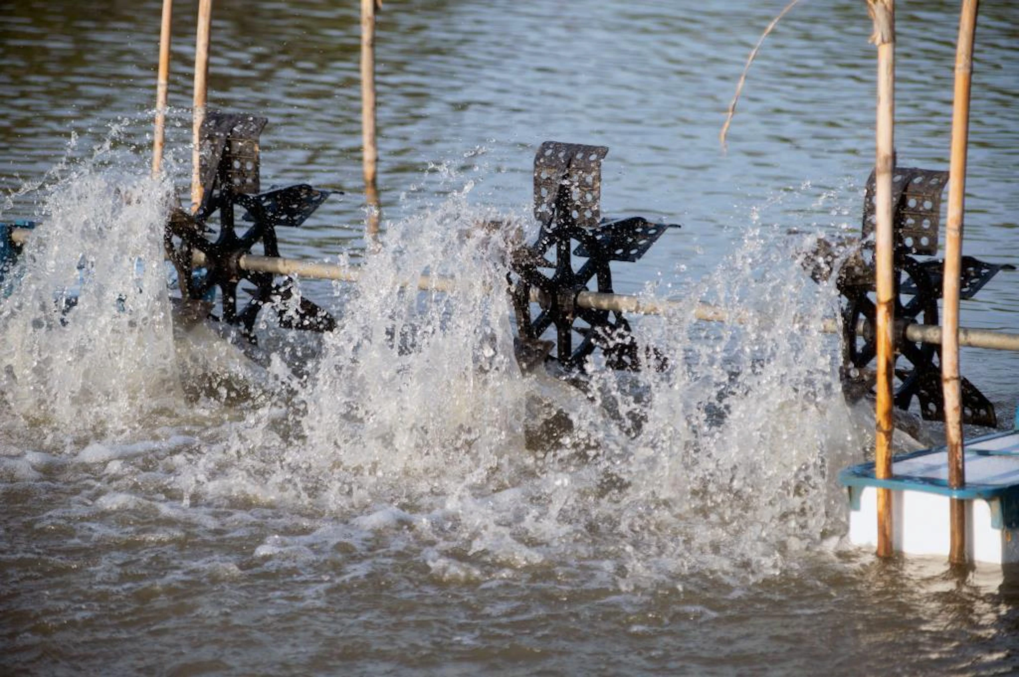 Aquaculture & Fisheries at Growtech Middle East 2026 | Fish Farming ...