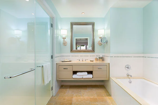 Hotel Washroom
