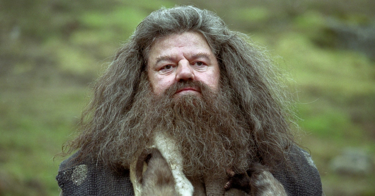 Hagrid looking seriously at something in the distance