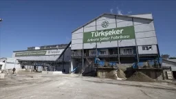 Sustainability Zone