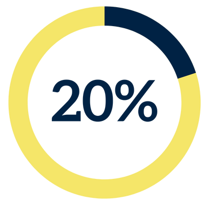 20% icon