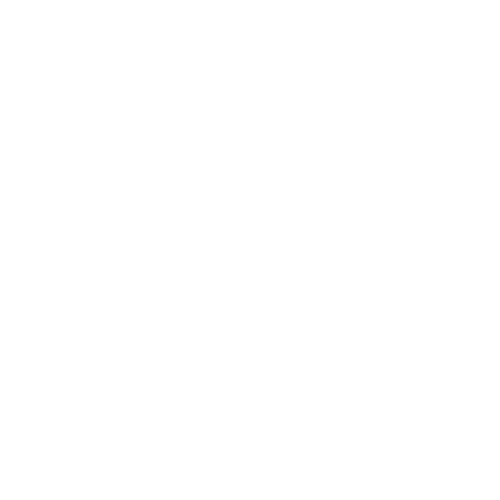 <p>Offsetting emissions from staff travel</p>