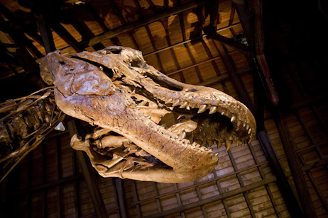 Perot Museum of Nature & Science