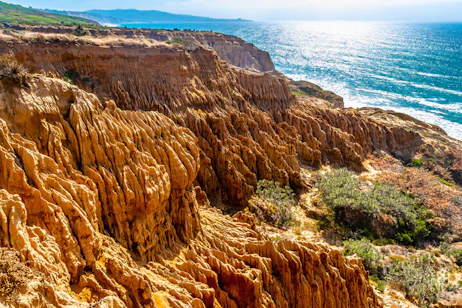 Torrey Pines State Natural Reserve