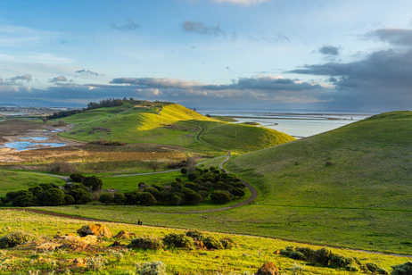 Coyote Hills Regional Park