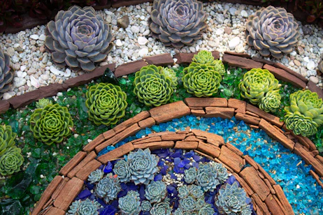 Sherman Library & Gardens