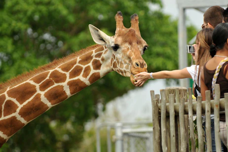 San Diego Zoo