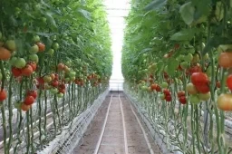 Sustainability Zone