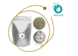 Microcápsulas Funcionais