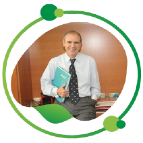 José Alarcón Irigoyen