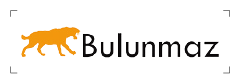 Bulunmaz logo