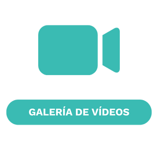 Galería de vídeos