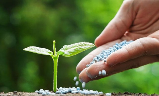 What is the Greenhouse effect?