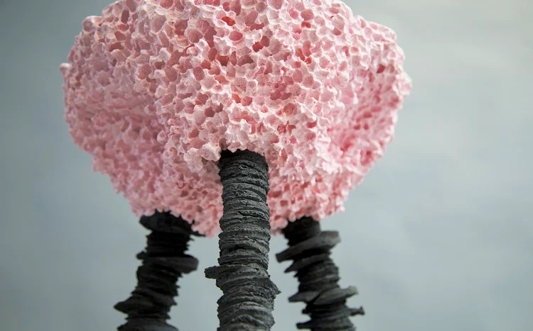 Gavin Keightley 2019 Future Heritage Maker