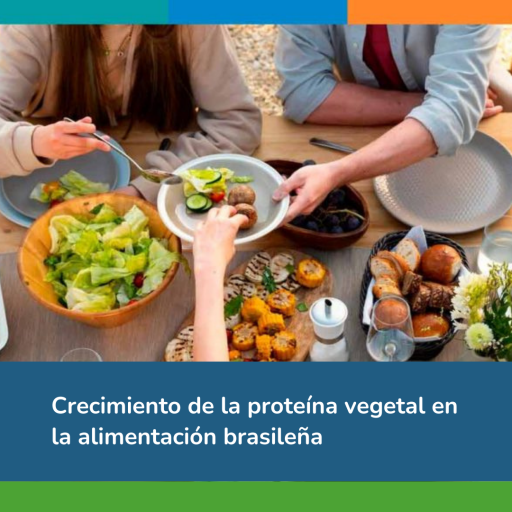 vegetal en la alimentacion brasilena