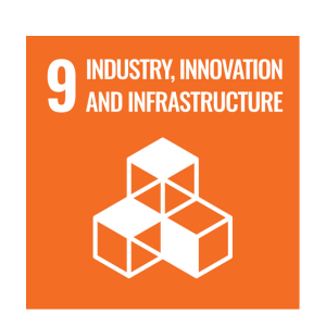 INDUSTRY, INNOVATION AND INFRASTRUCTURE