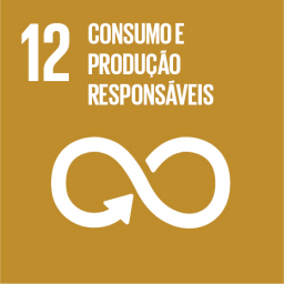 Consumo E producao responsaveis