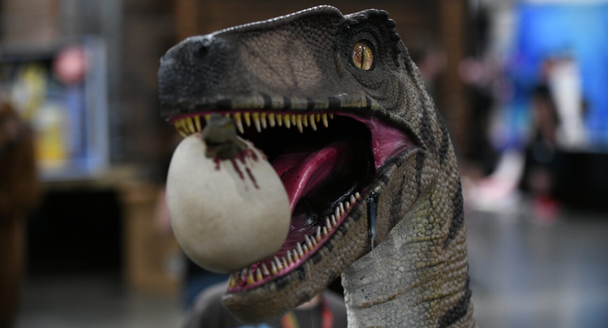 Onyx the Velociraptor holds a hatching dinosaur egg in her mouth