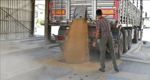 2 Million 200 Thousand Tons of Wheat Grown in Şanlıurfa This Season