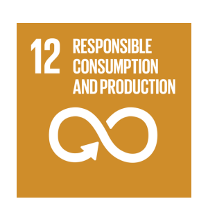 RESPONSIBLE CONSUMPTION AND PRODUCTION