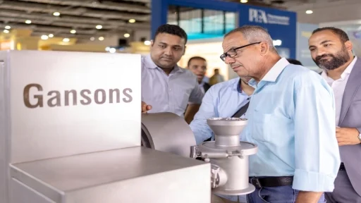 Gansons