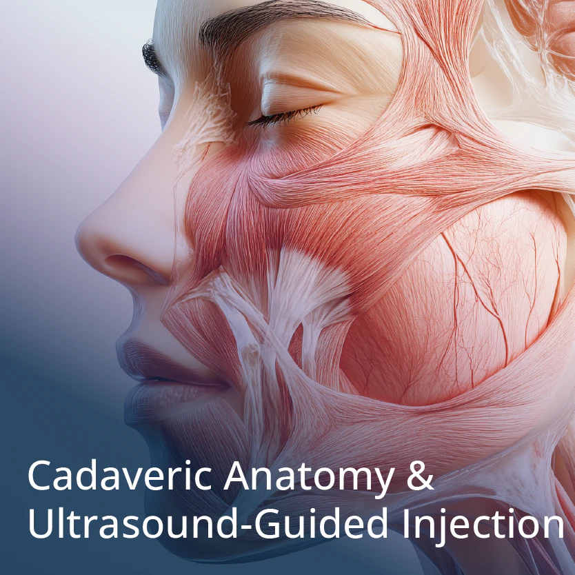 Cadaveric Anatomy & Ultrasound-Guided Injection