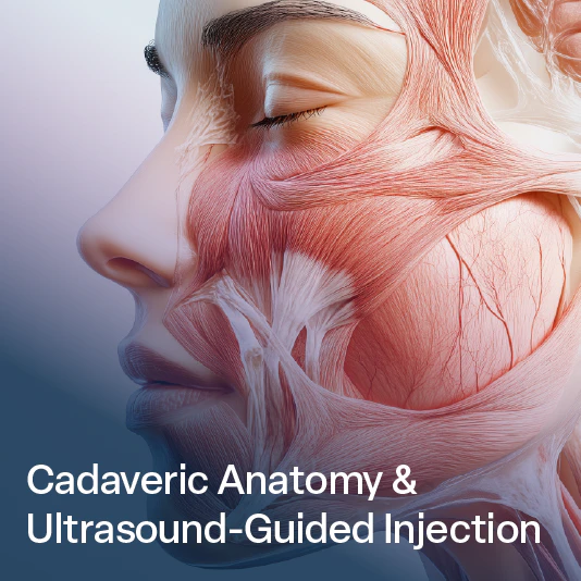 Cadaveric Anatomy & Ultrasound-Guided Injection