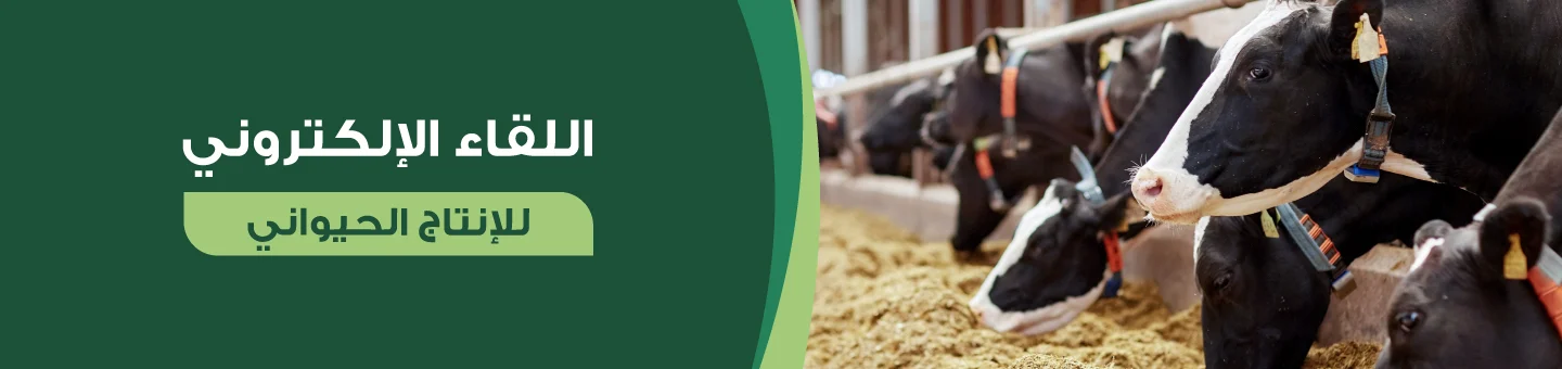 Sahara Expo hero image