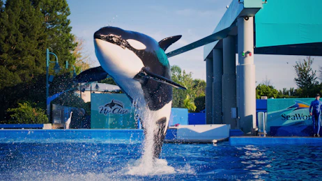 SeaWorld Orlando