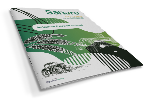 Agriculture Overview in Egypt Report