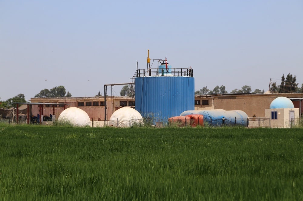 Egypt’s national AI council