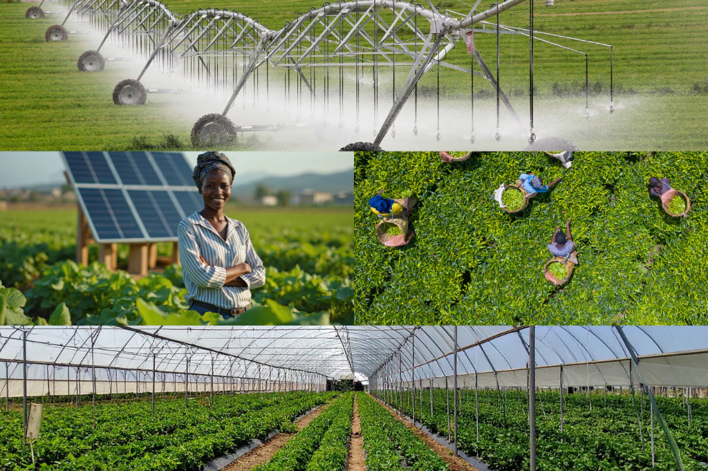 Agriculture innovations including greenhouse technology, crop production and sustainable farming showcased at Growtech West Africa in Lagos, Nigeria.