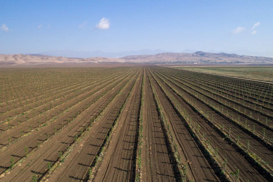 Middle East Agribusiness