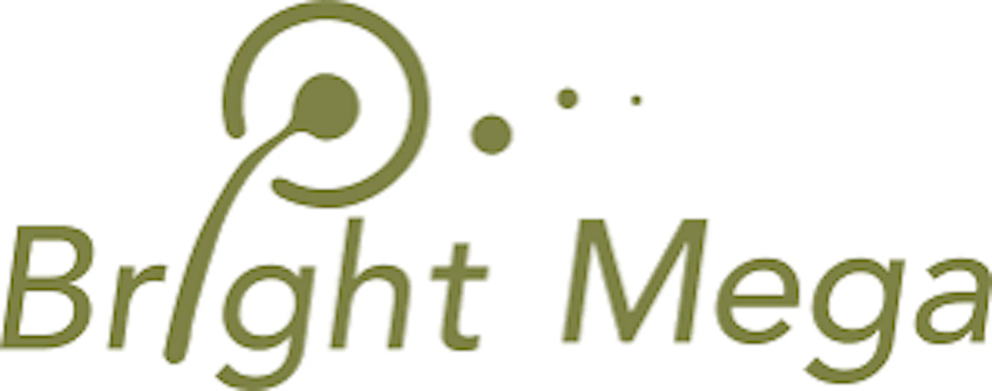 Bright Mega Capital Corporation