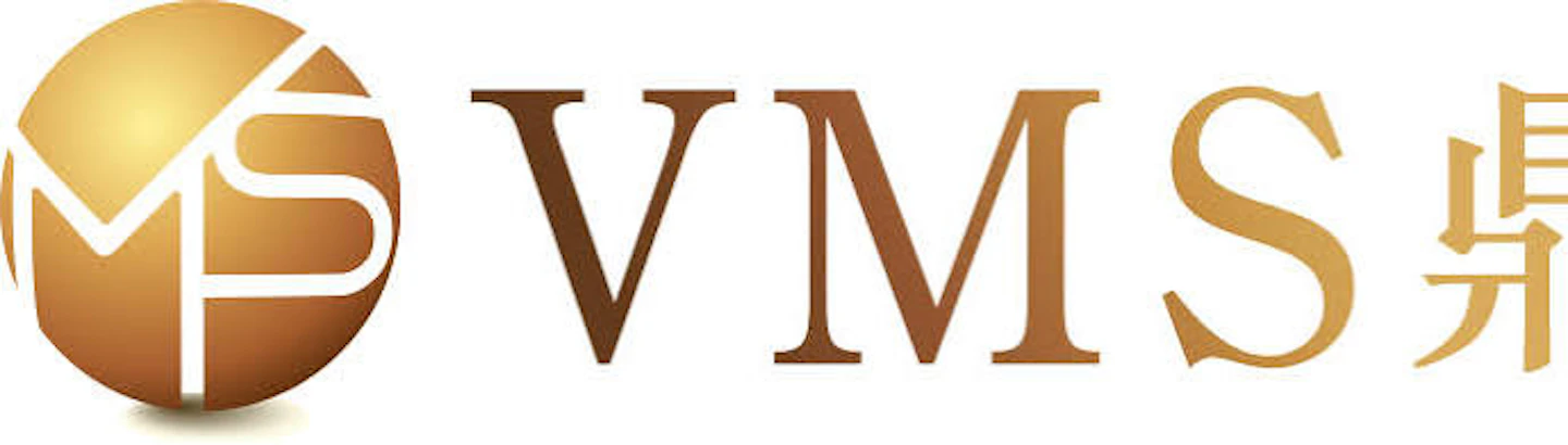 VMS Investment Group