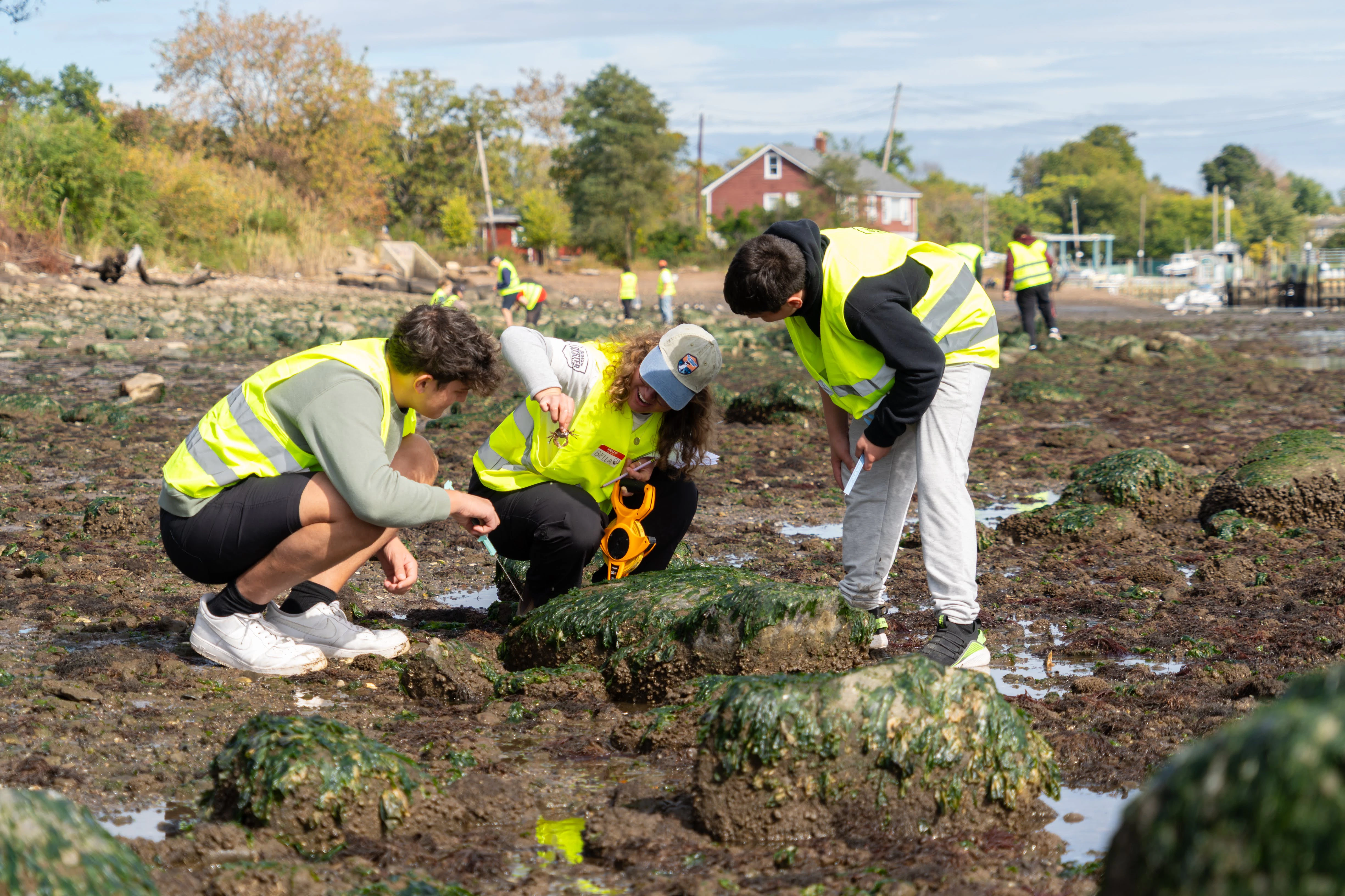 Billion Oyster Project volunteers