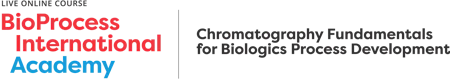 Chromatography Fundamentals for Biologics Process Development
