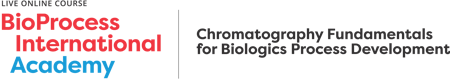 Chromatography Fundamentals for Biologics Process Development