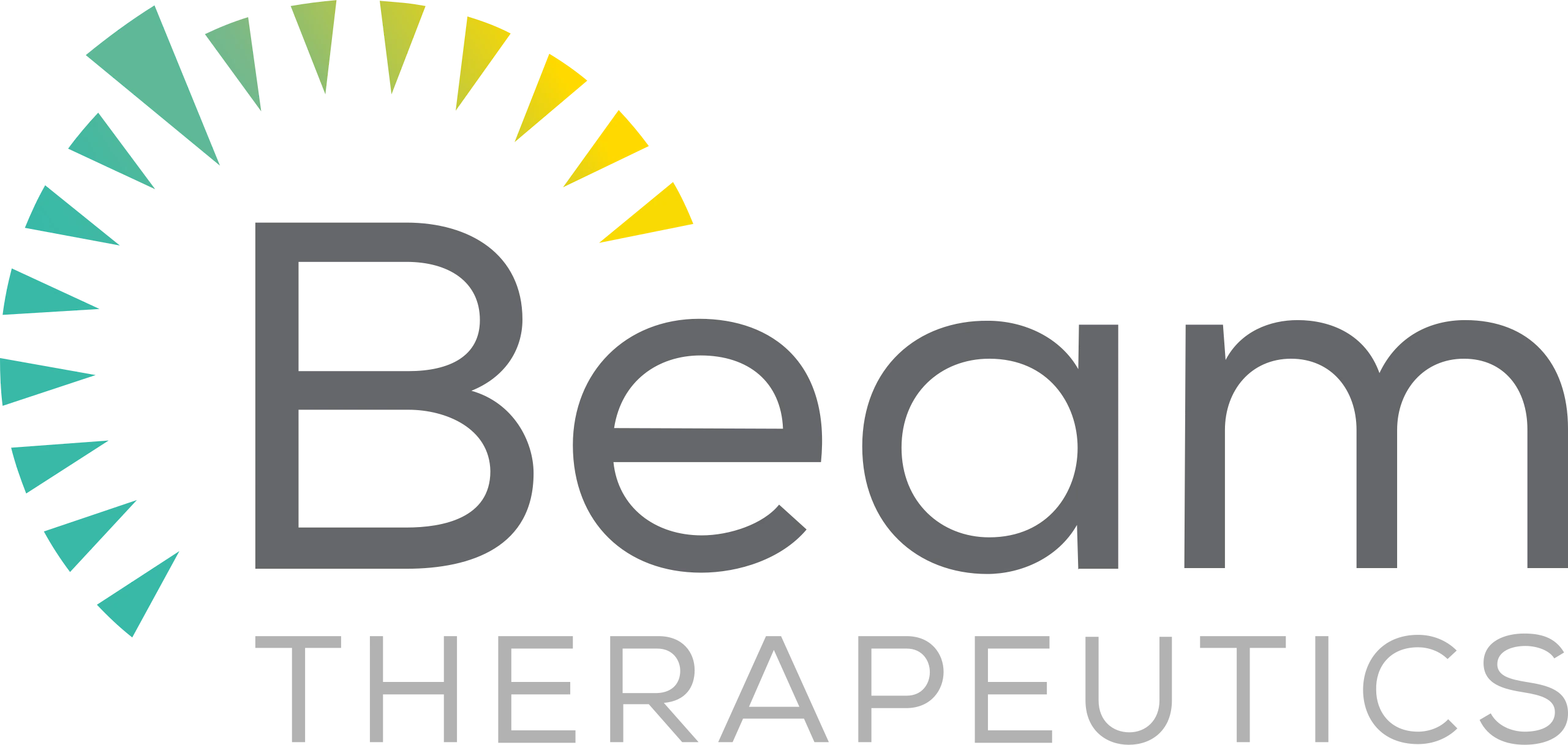 Beam Therapeutics