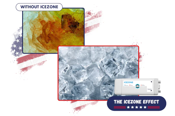 Biozone
