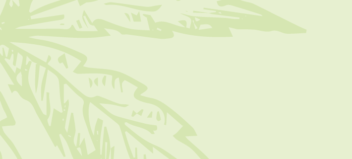 C-Store Cannabis 2026