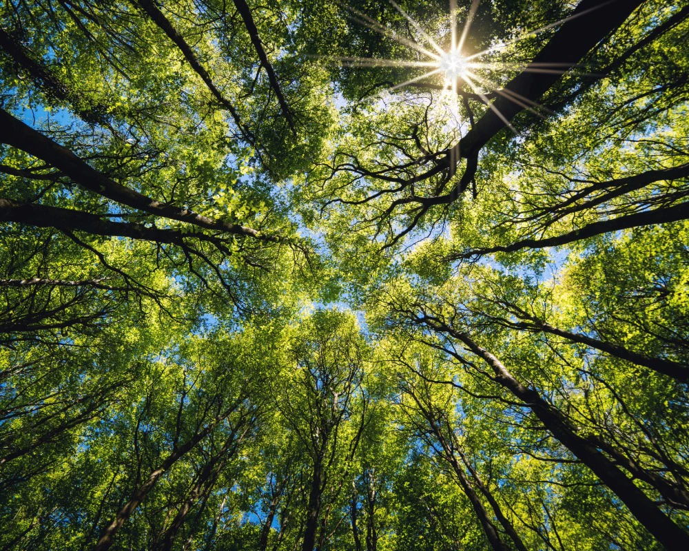Reducing physical and carbon waste