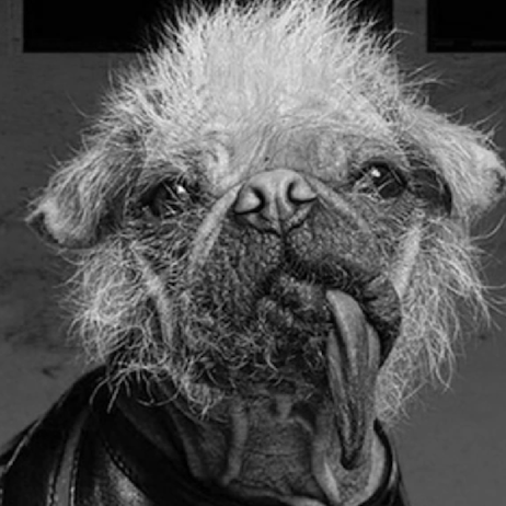 Peggy The Dog and Holly & Luke