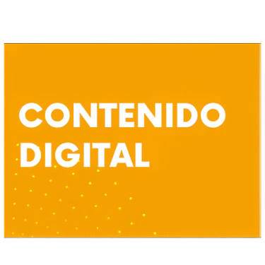 Contenido digital