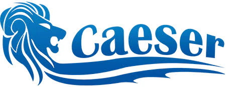 Top Brands