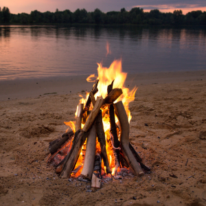 New to Service Management World? Join the campfire experience!