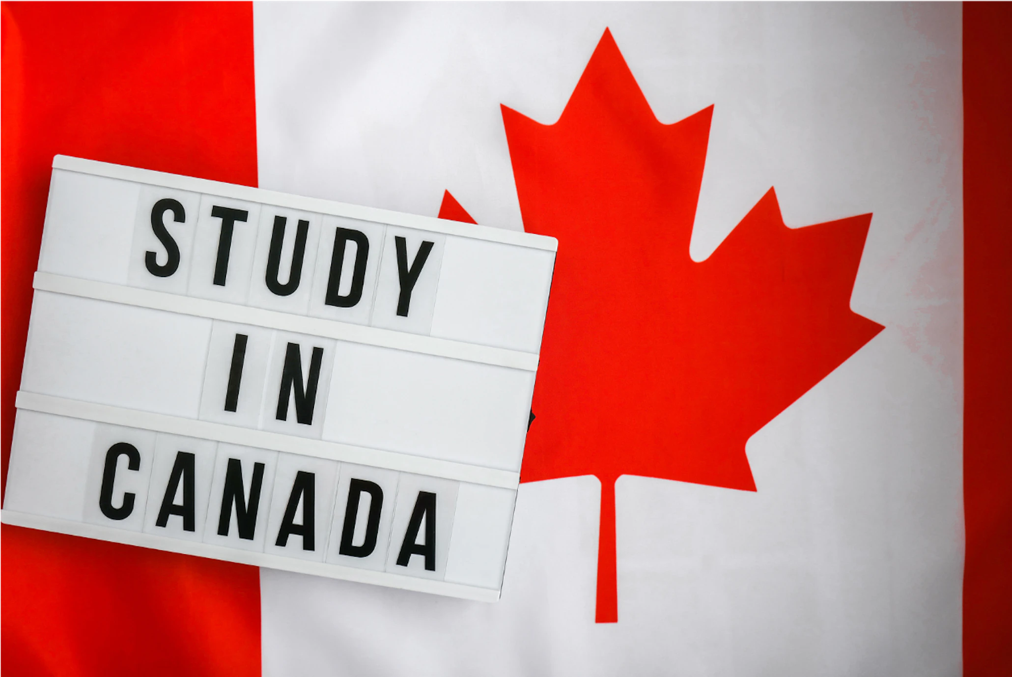 Why Study in Canada? Here Are 5 Great Reasons