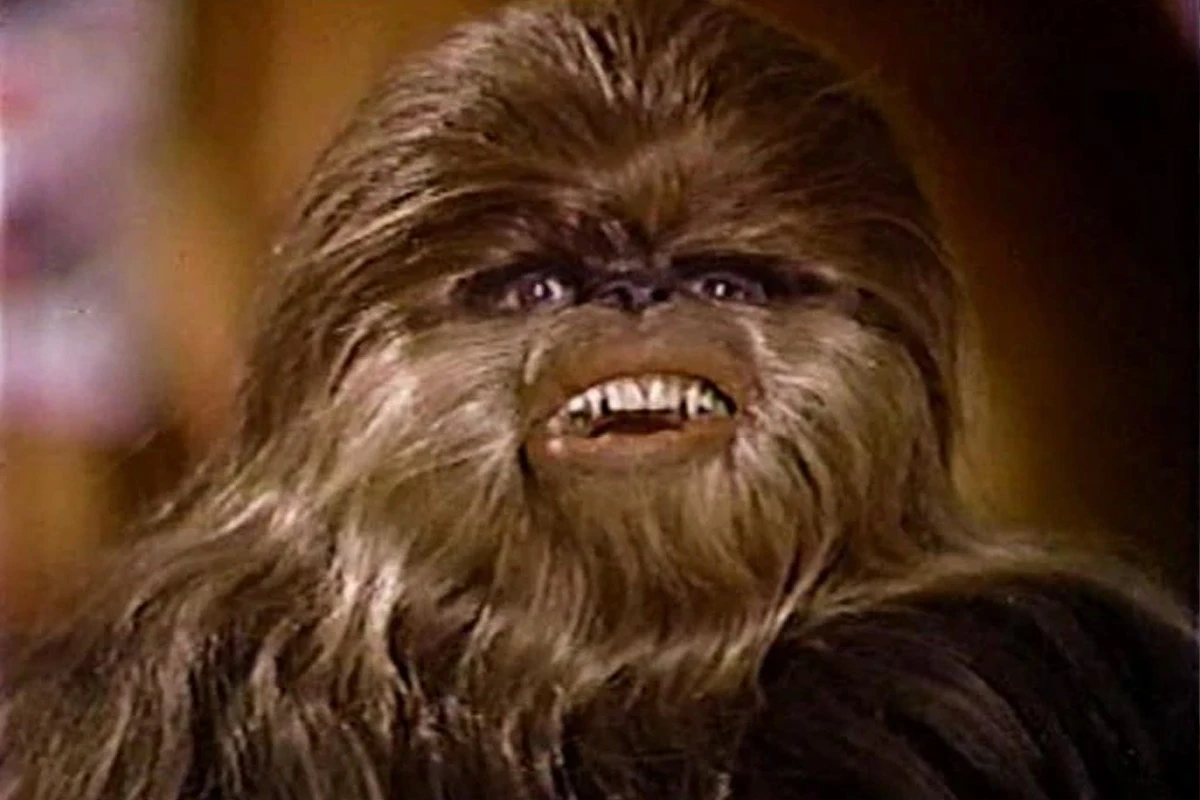 Chewbacca's son smiles at the camera